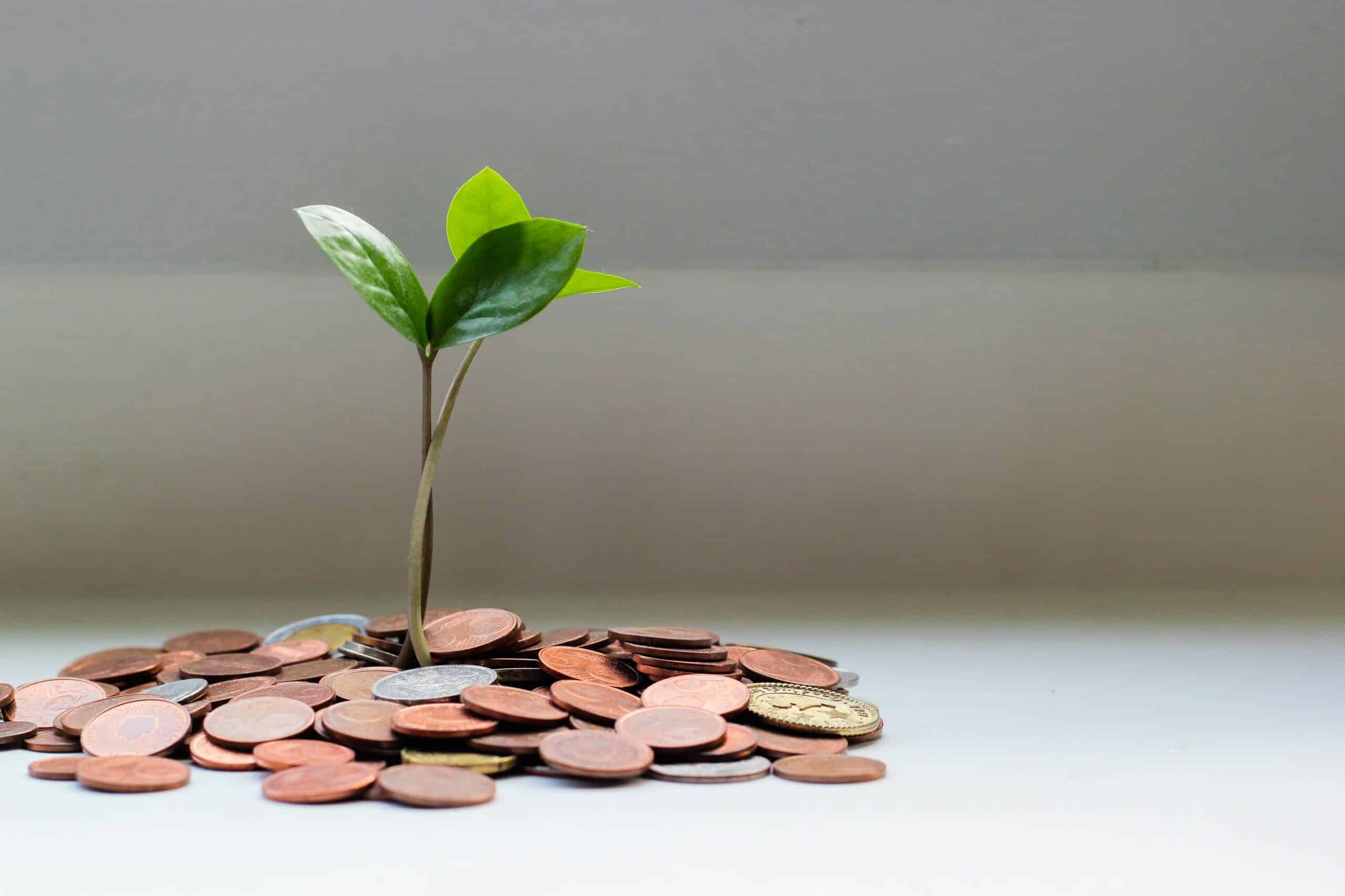 Trouver un financement pour votre projet de construction